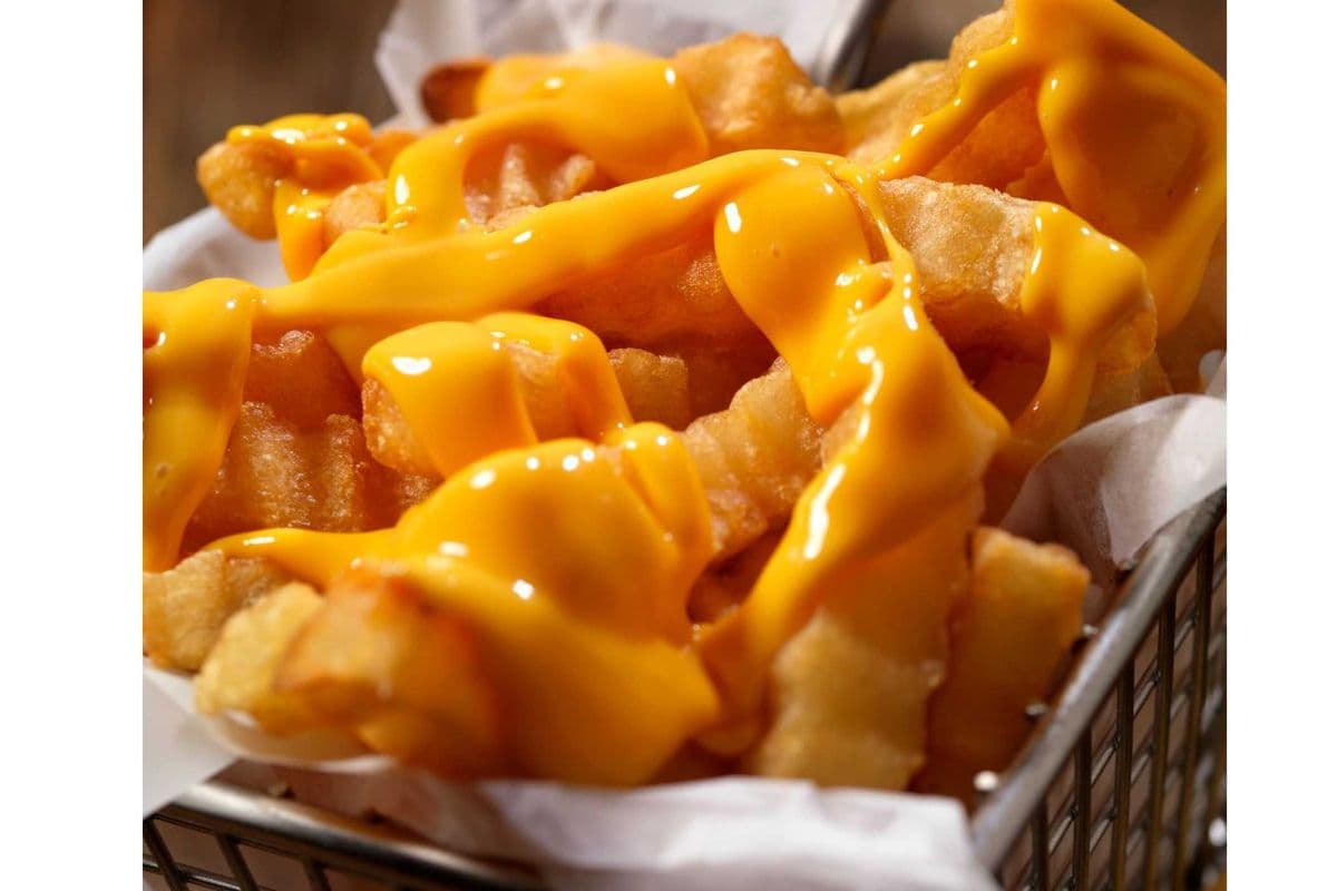 Small Cheese Fries
