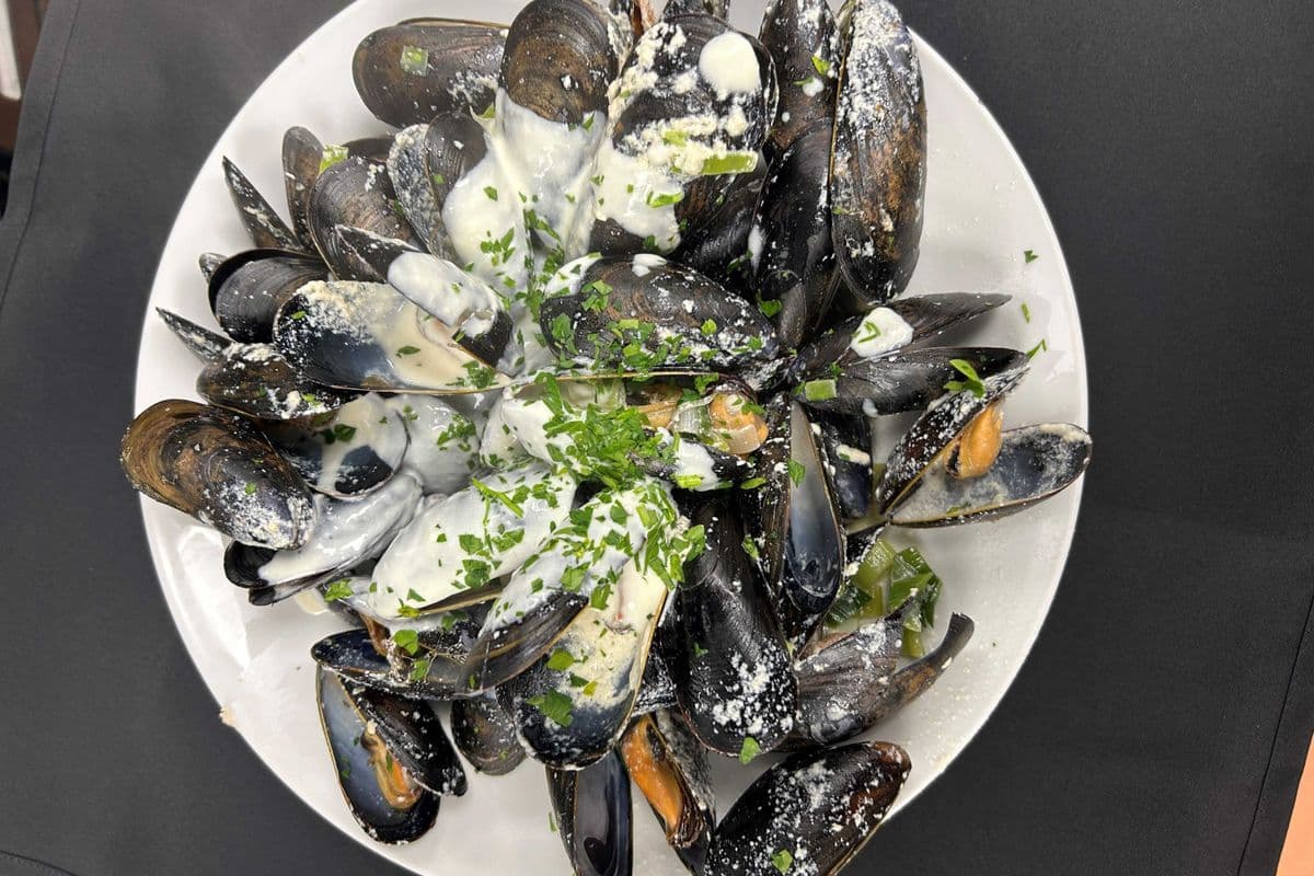 Moule flamande / Flemish Mussel