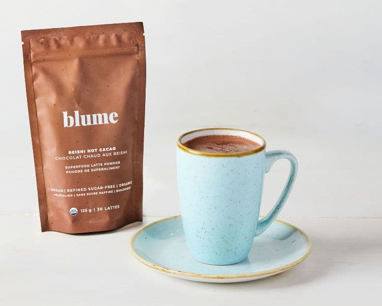 Reishi Hot Chocolate