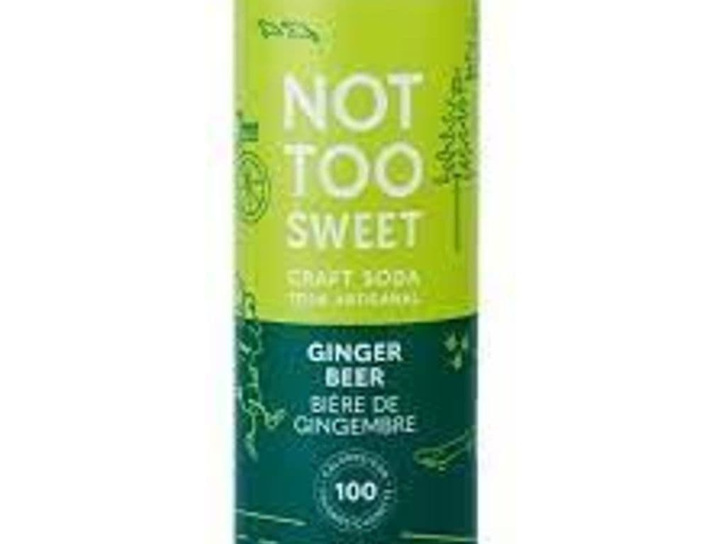 Not Too Sweet Ginger Beer