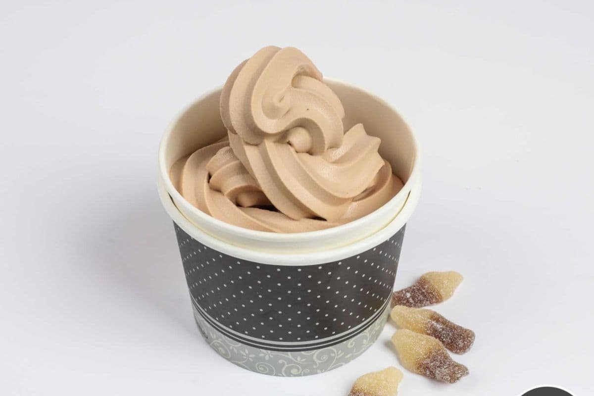 Nutella Froyo (250 g) (~ 250g)