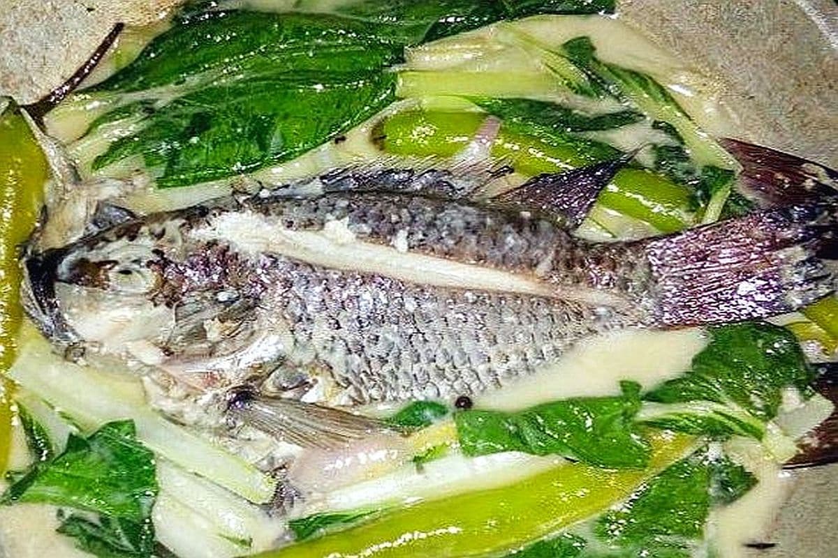 Ginataang Tilapia