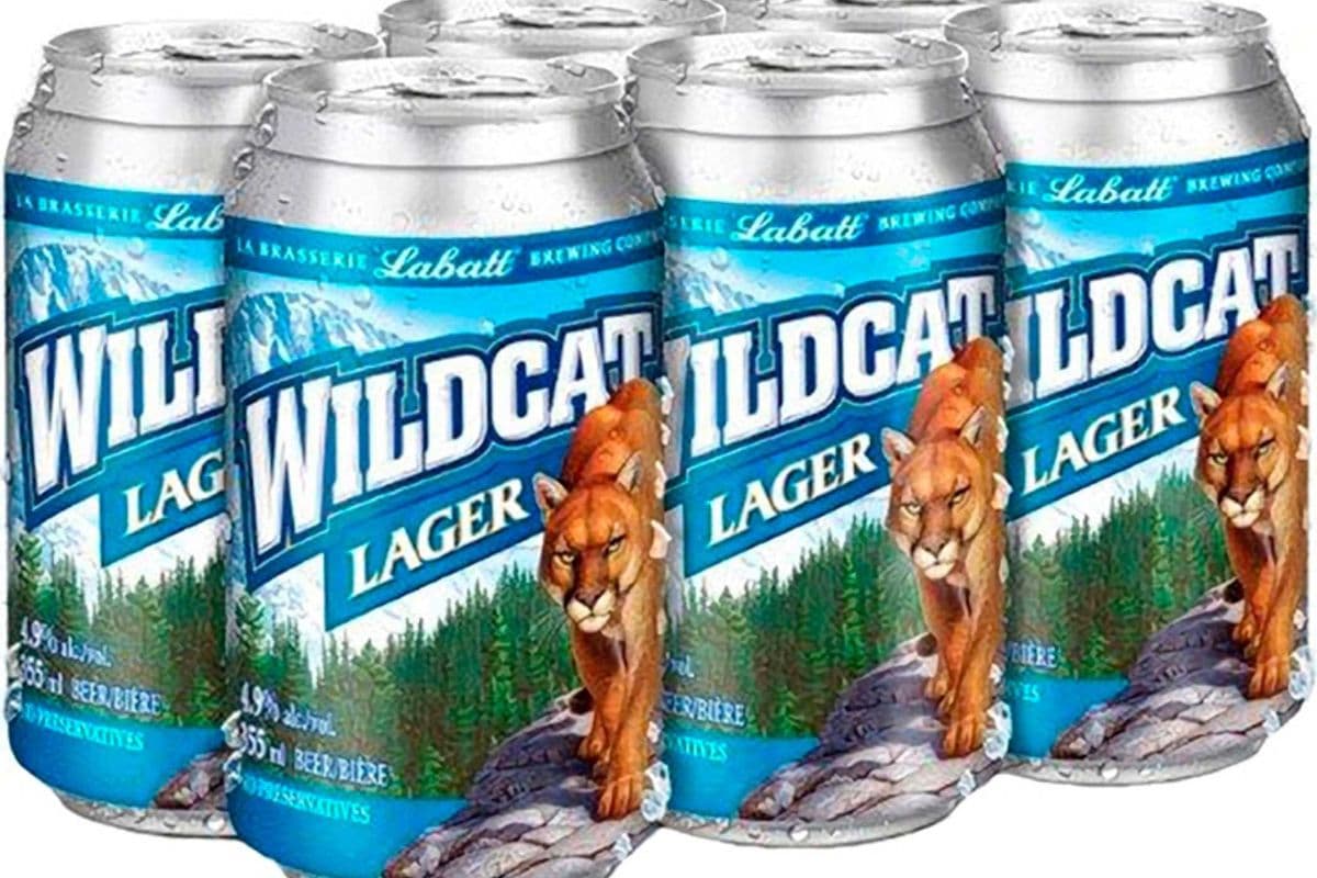 Labatt Wildcat Strong Lager - 6x355mL Cans (6 x 355ml)
