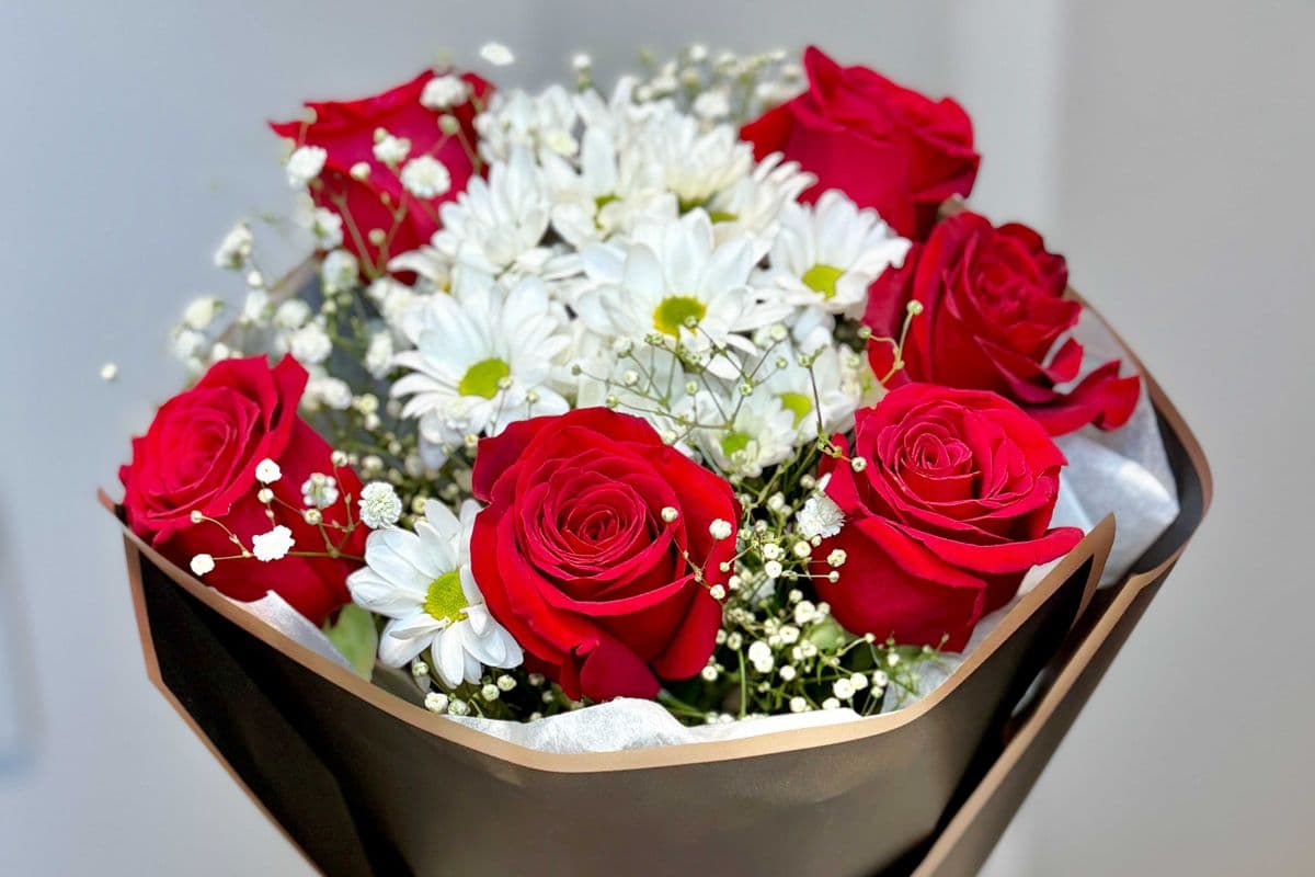 Elegant Romance