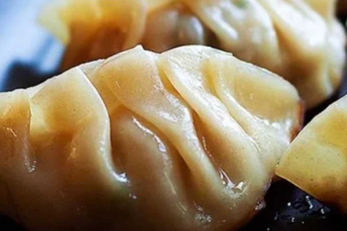 Gyoza-Vege (4 pcs) (Buy 1, get 1 FREE)
