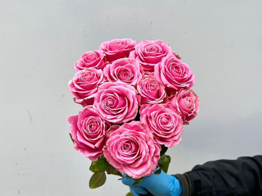 Local Flowers - Rose pink (12 stems)