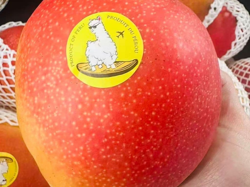 (TOP SELLER!) TREE RIPEN MANGO (PERU)