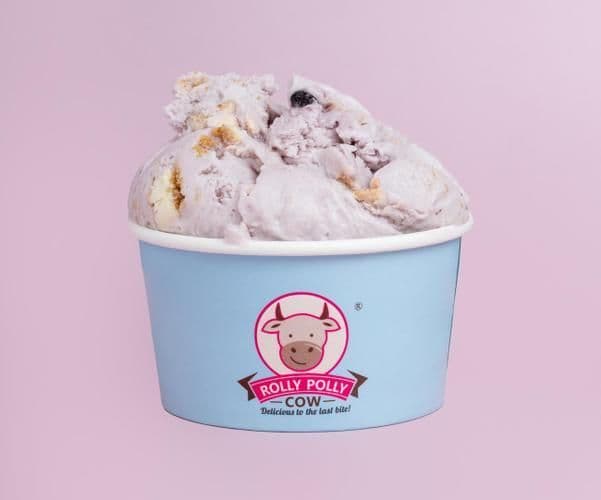 Blueberry Cheesecake Scoop