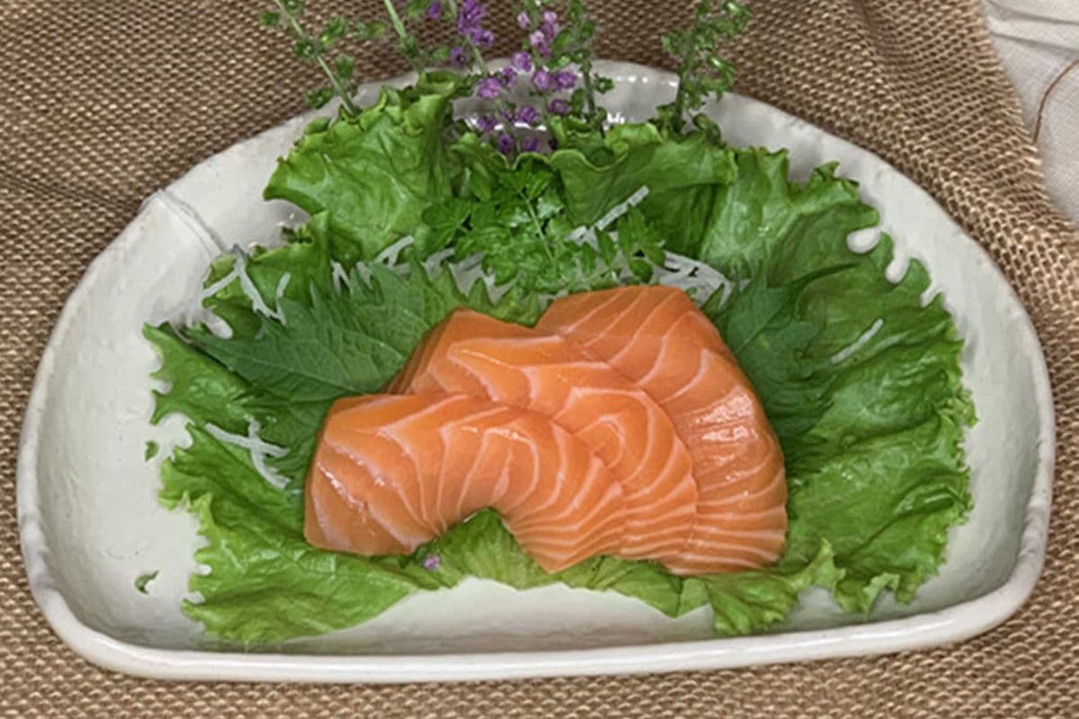 023 Salmon (3 pcs)