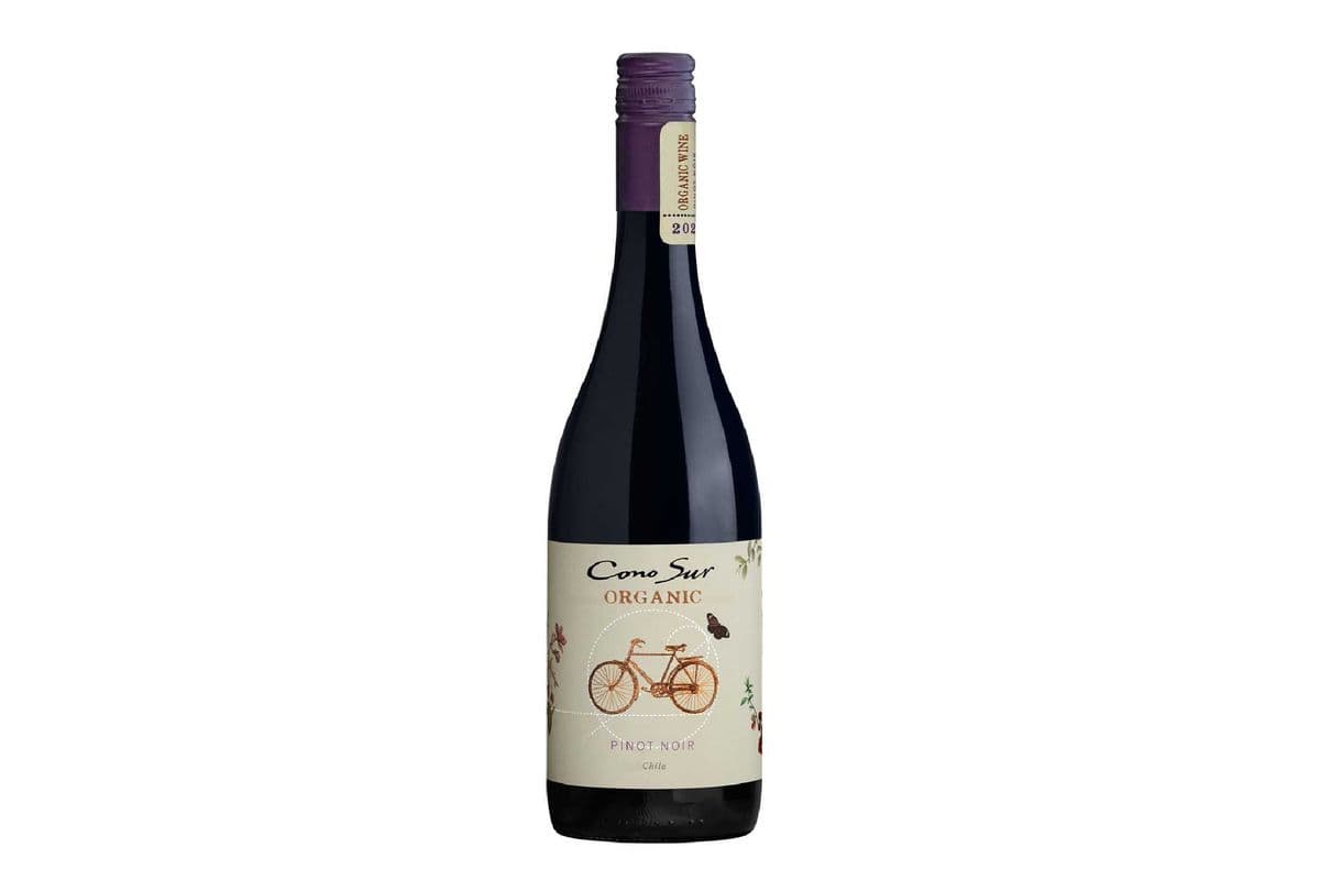 Cono Sur Organic Pinot Noir - Chile (1 x 750 ml)