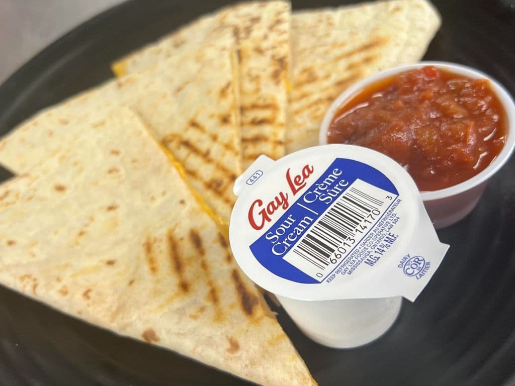 CHEESY QUESADILLA