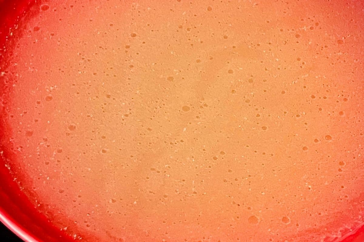 1806. Beef Broth or Chicken Broth