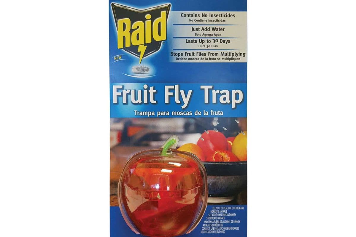 Raid Fruit Fly Trap