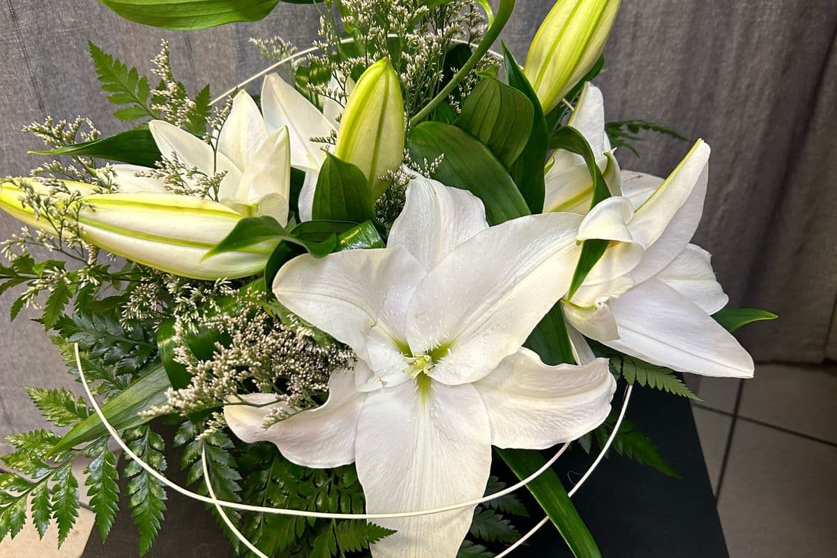 White Lily