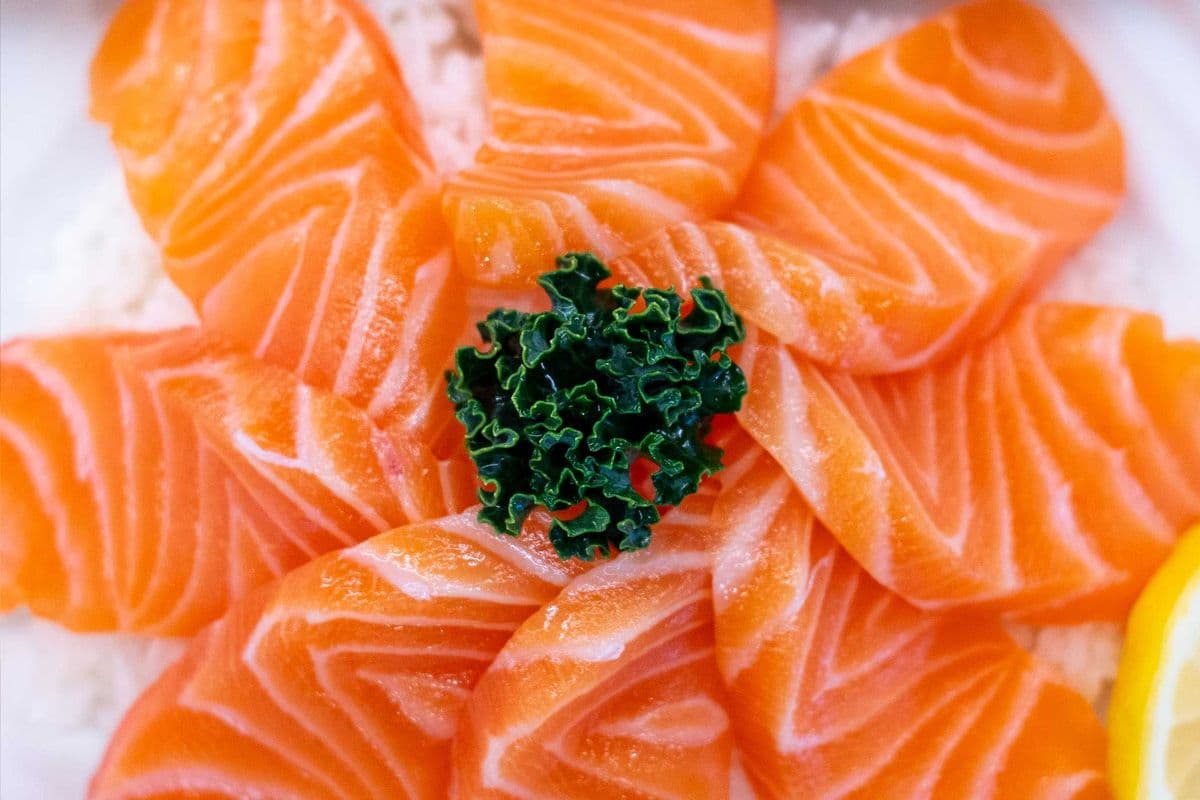 Salmon Don