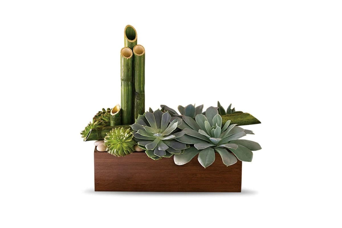 Teleflora's Peaceful Zen Garden