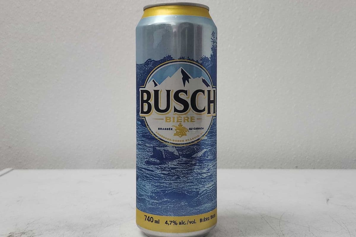 Busch (1 x 740  ml Tall Can)