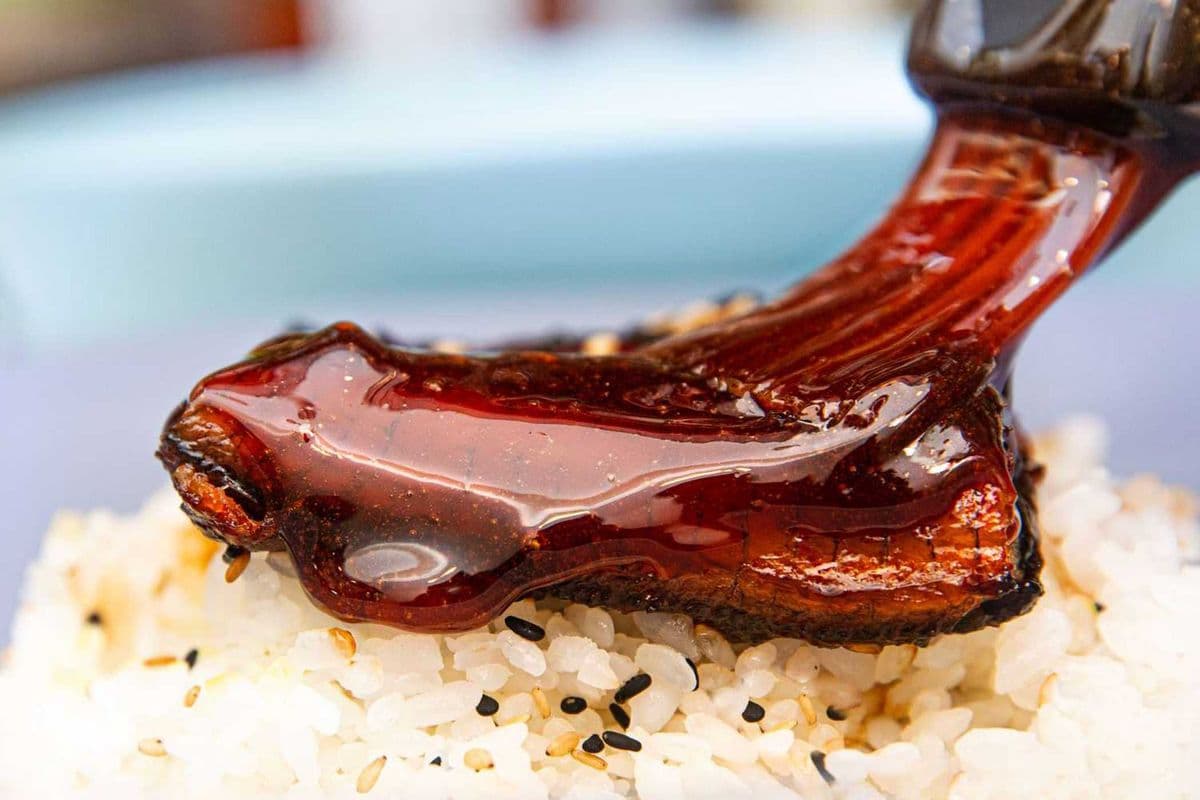 Unagi Sauce