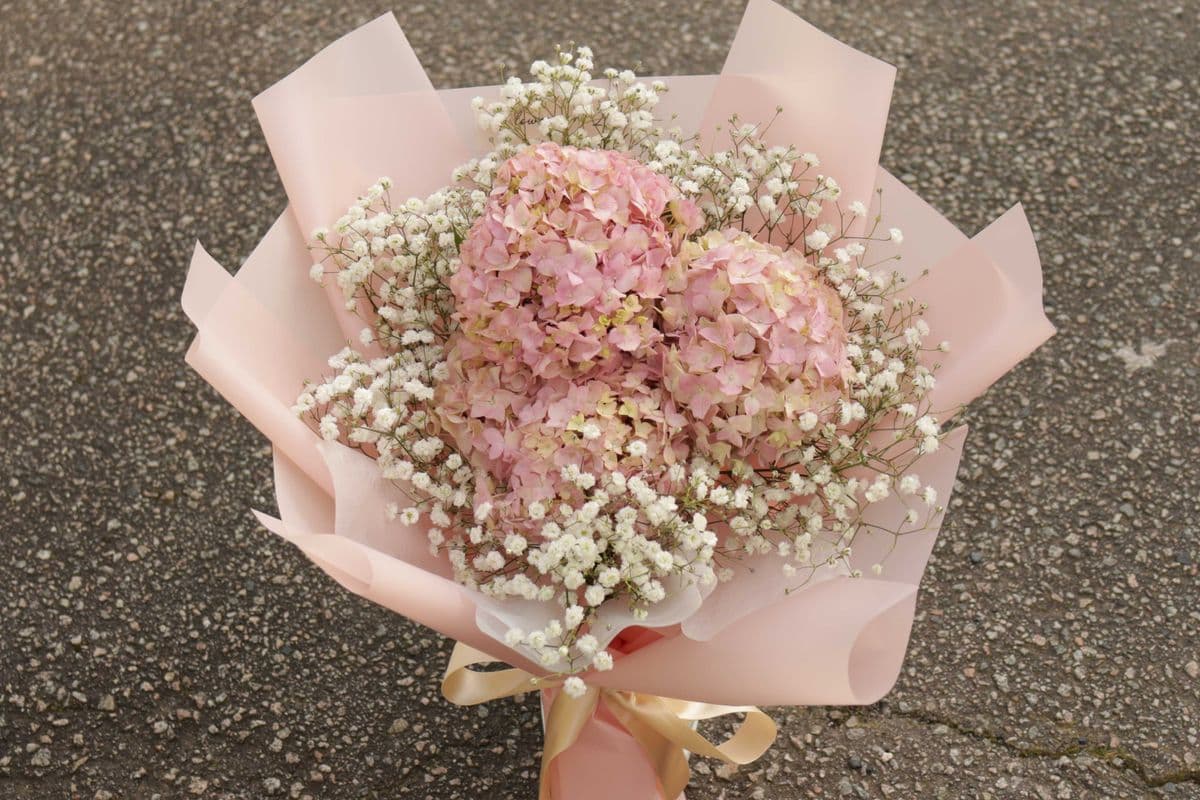 Pink Hydrangea Bouquet + Baby's Breath
