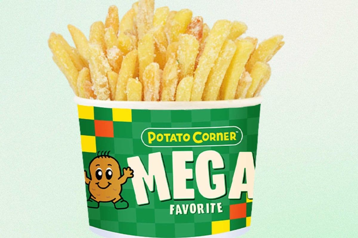Mega Shoestring Fries