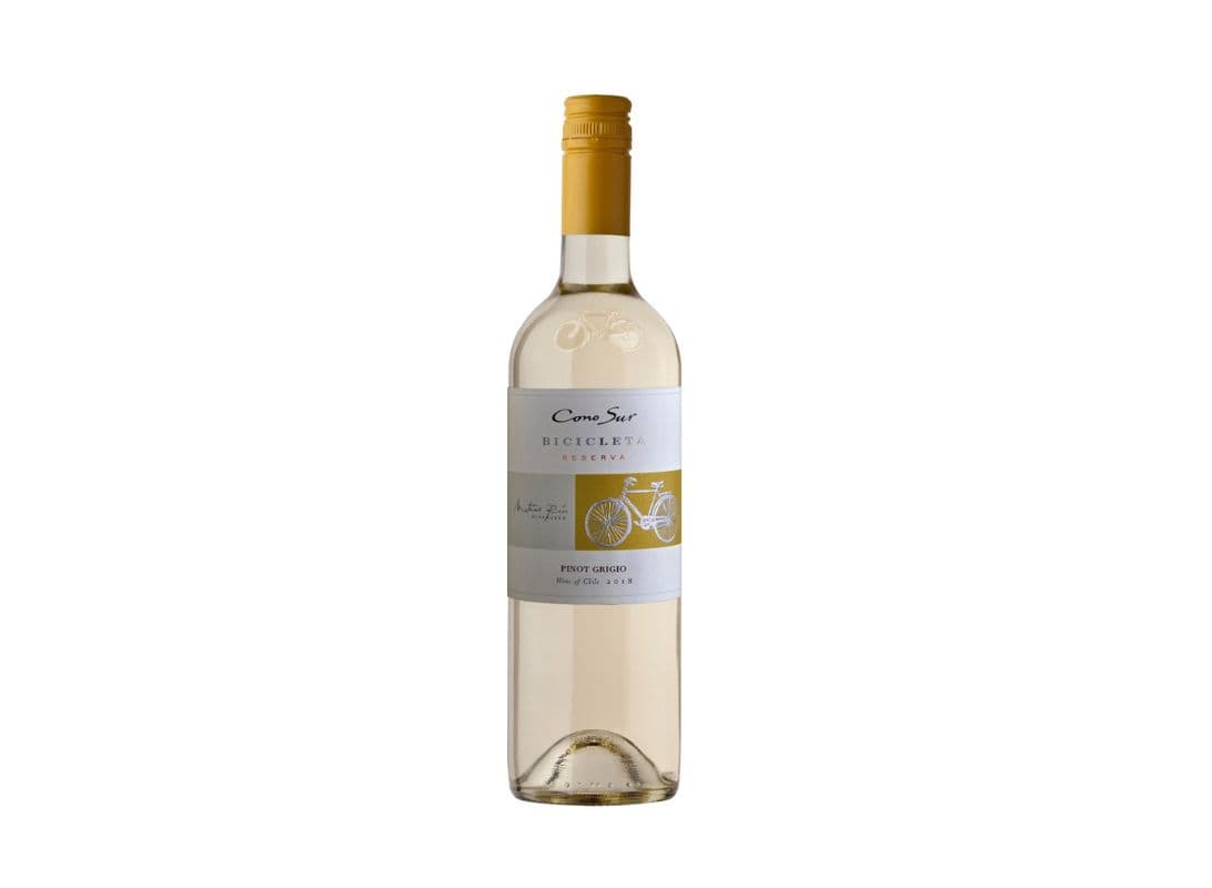Cono Sur Pinot Noir (1 x 750 ml)