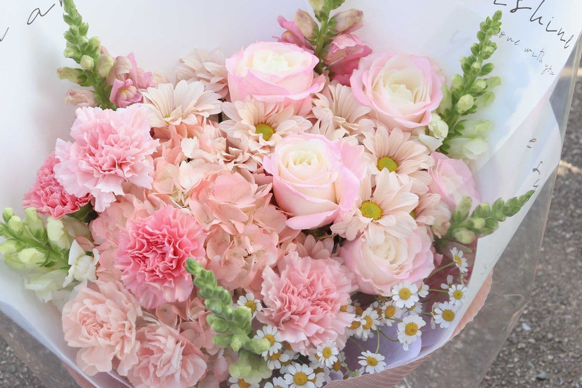 DC1. Blush Pink Bouquet - Large