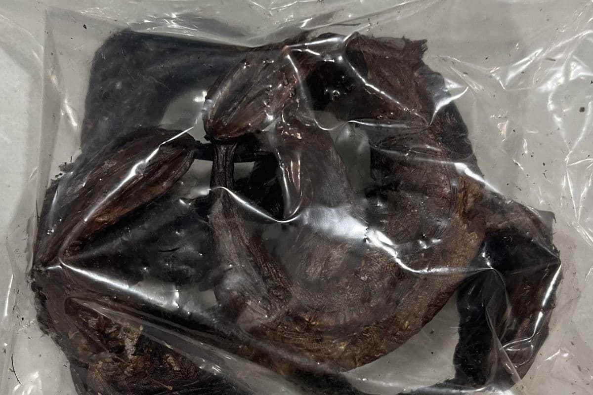 Smoked Panla Fish (Packed)