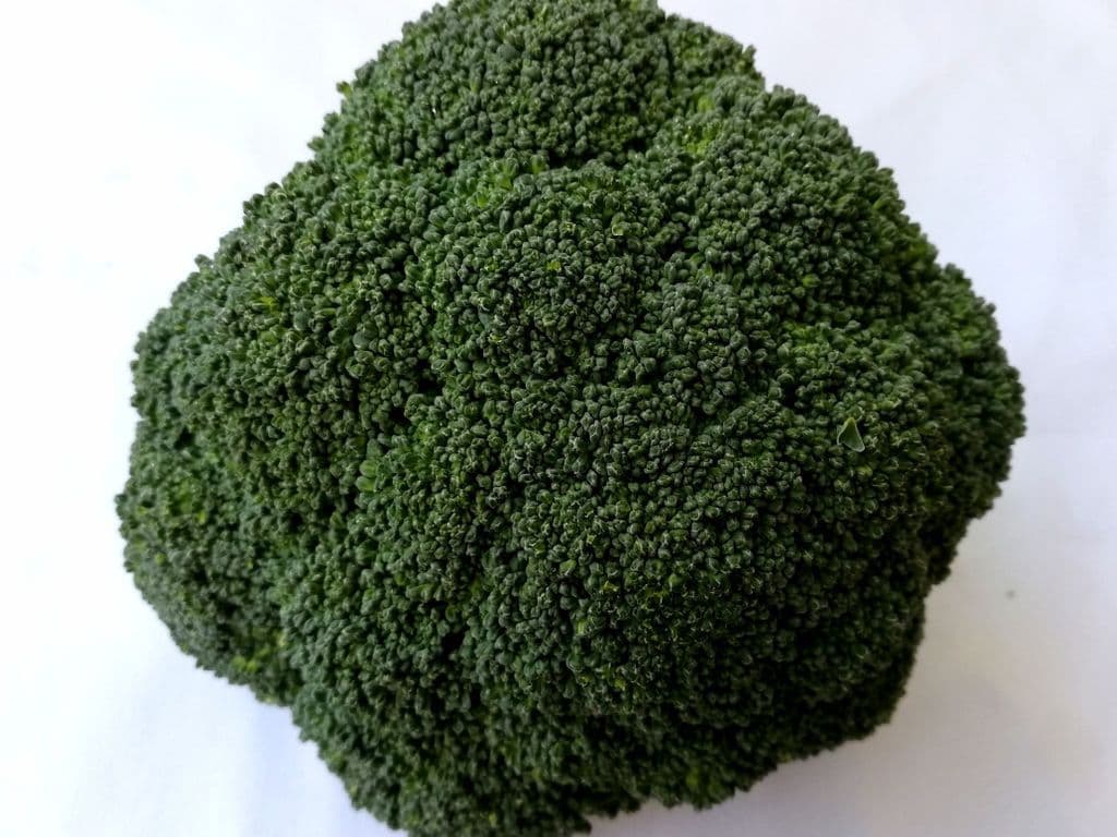 Broccoli (2 pcs)