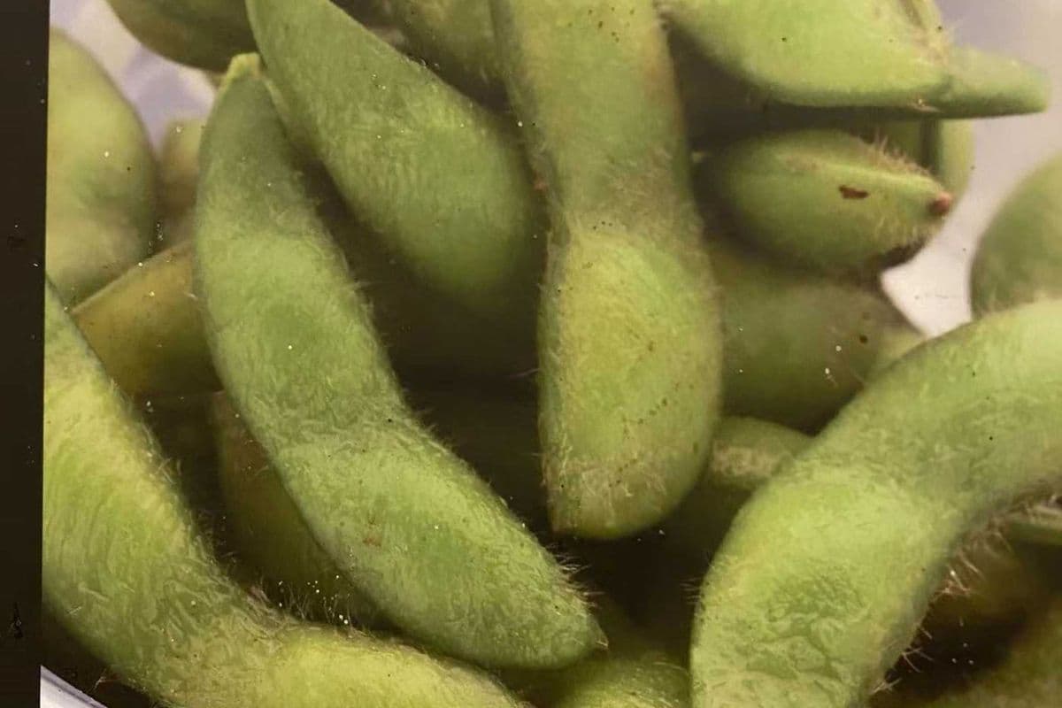 Edamame