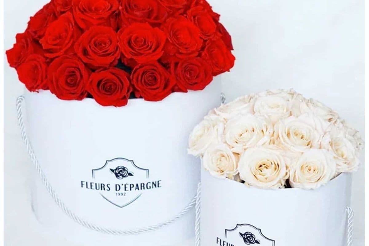 Super Dome in Prestige Rose Bucket