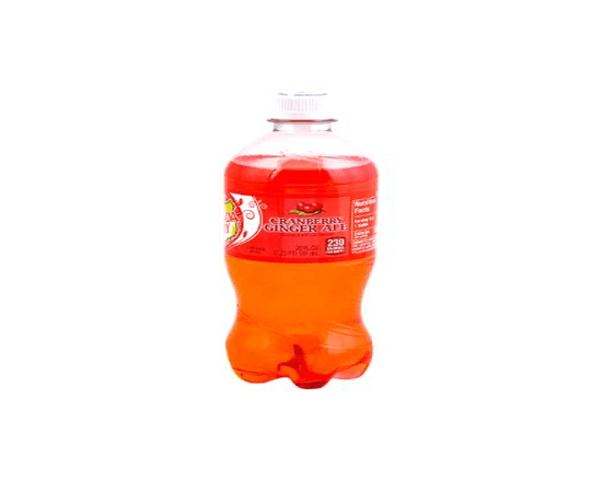 Canada Dry Cranberry (591 ml)