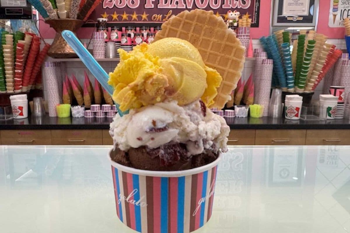 Gelato or Sorbetto (Triple Cup)
