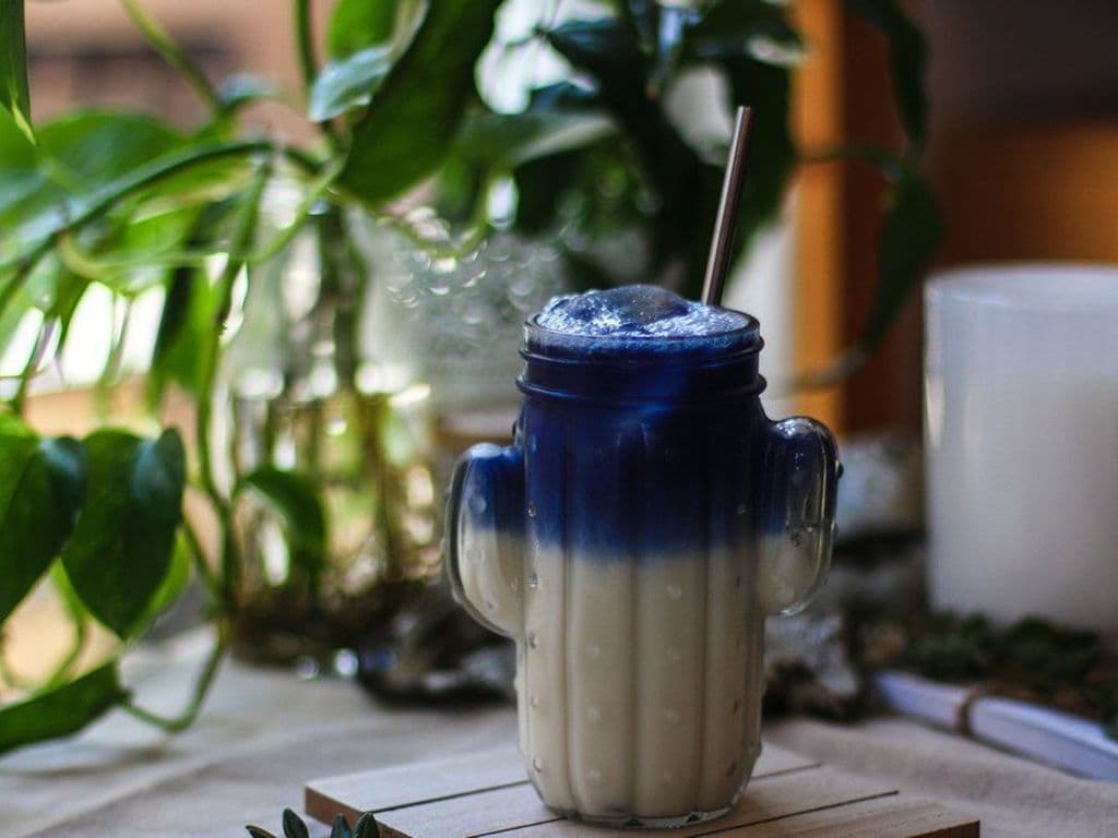 Papillon bleu  glacé/ Blue lavender iced latté