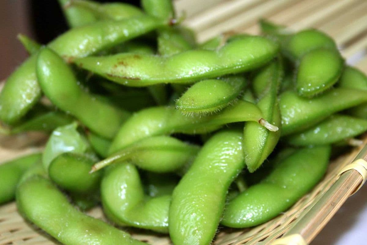 Edamame {Buy 1, get 1 free}