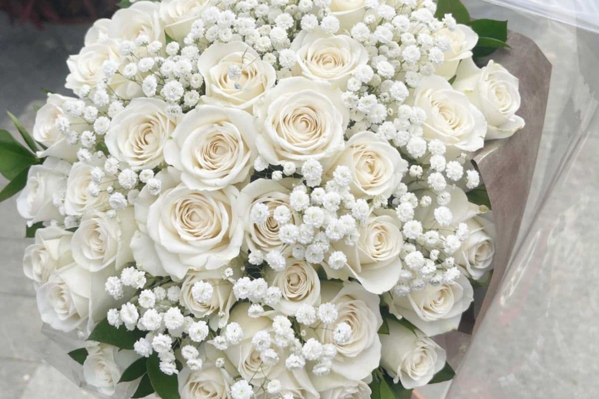 White Roses - 2 Dozen (24 Stems)