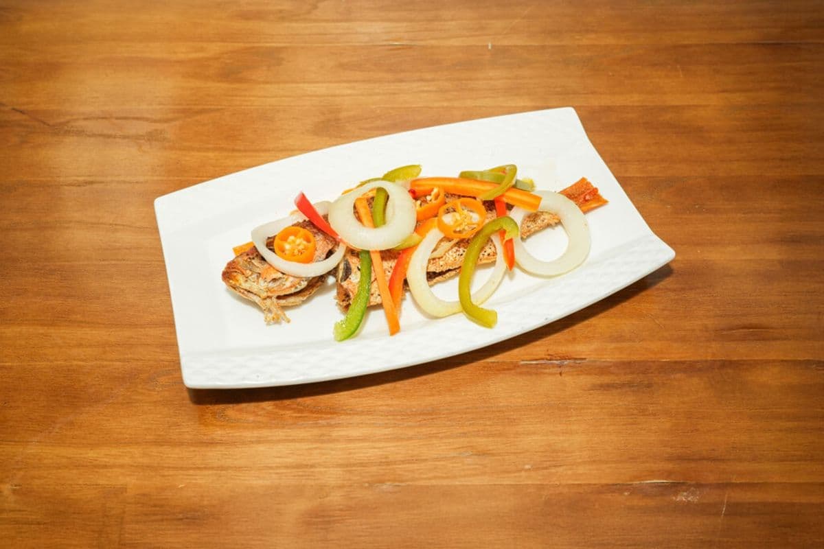 Snapper Fish