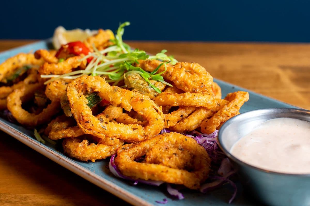 Fried Calamari
