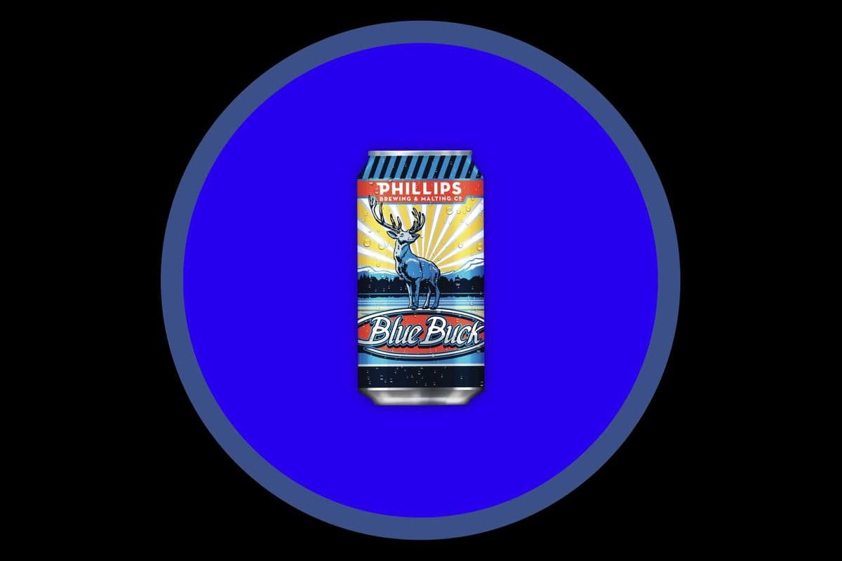 Phillips Blue Buck (8 x 355 ml)