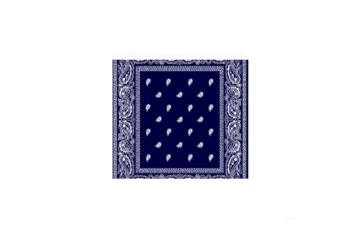 Bandana (Blue Pasley)