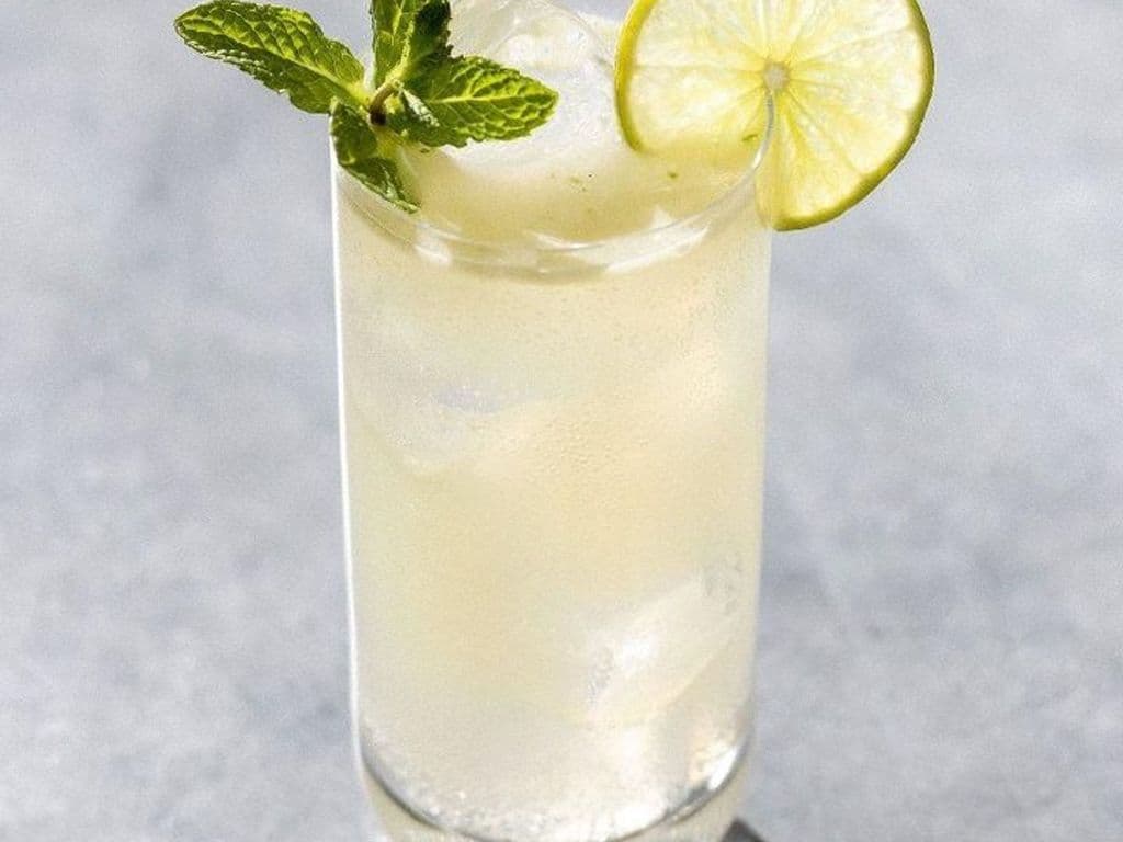 Virgin Mint Mojito