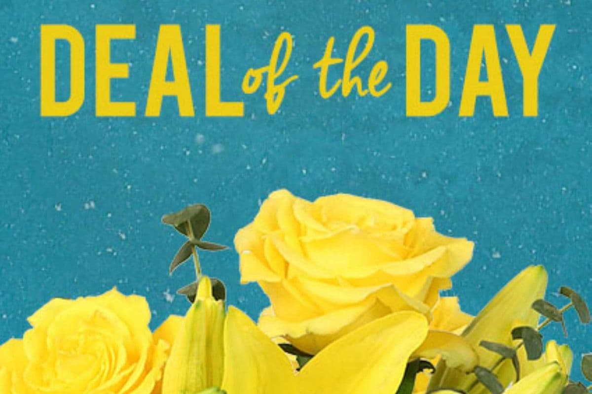 Deal-of-The-Day Vase Arrangement Special