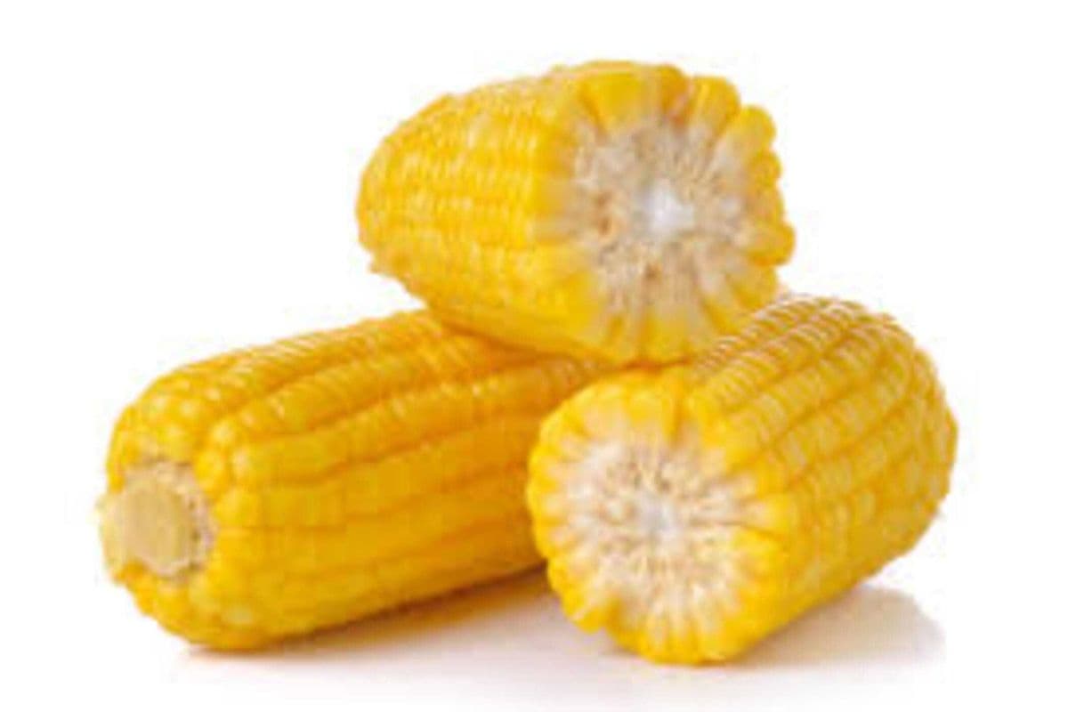 Corn (6 pcs)/ 鮮玉米