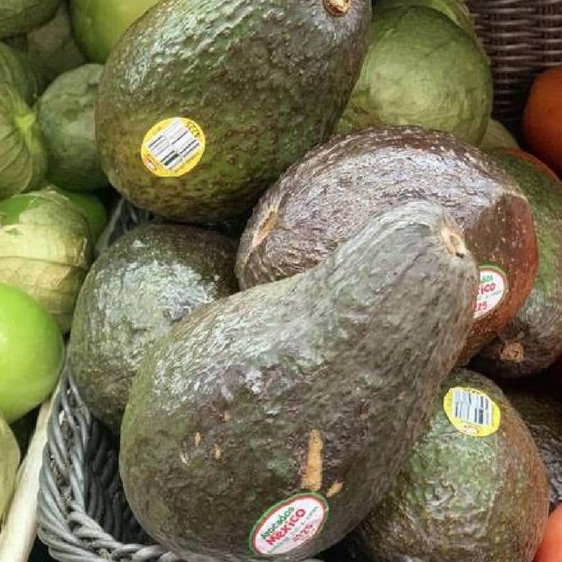Avocat / Avocado