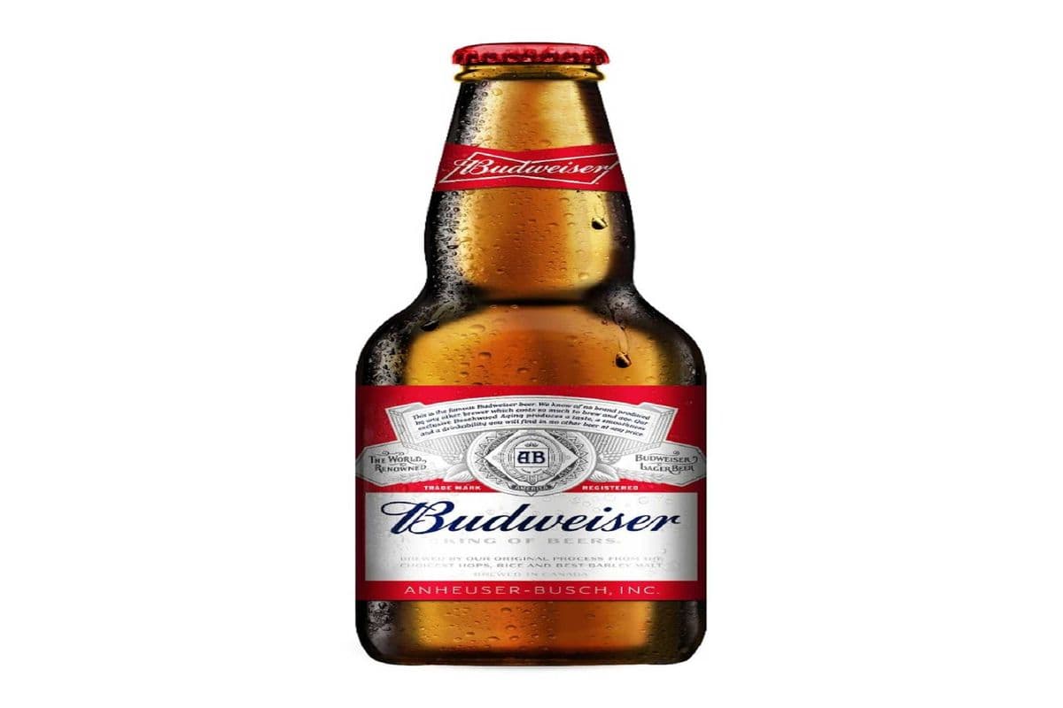 Budweiser bottle (1 x 341 ml)