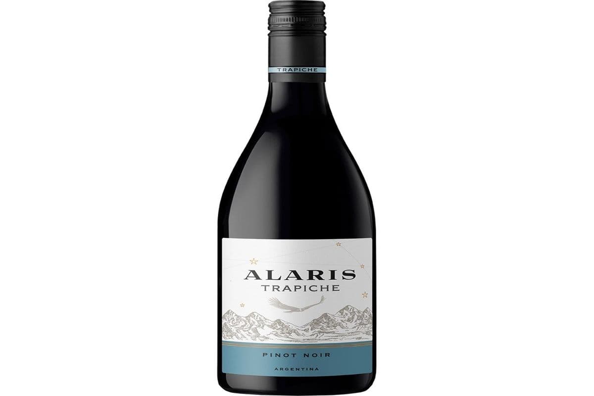 Trapiche Pinot Noir (1 x 750ML)