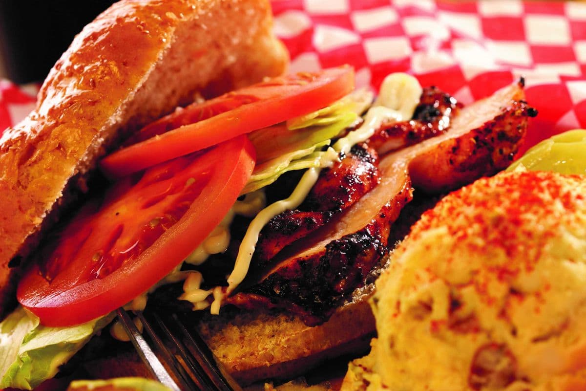 Grilled Chicken Breast Sandwich