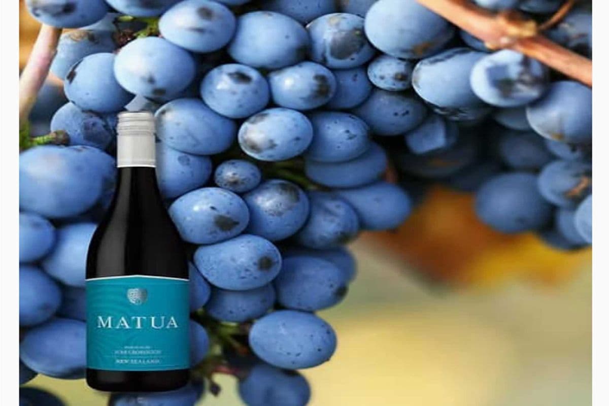 MATUA PINOT NOIR (1 x 750 ML)