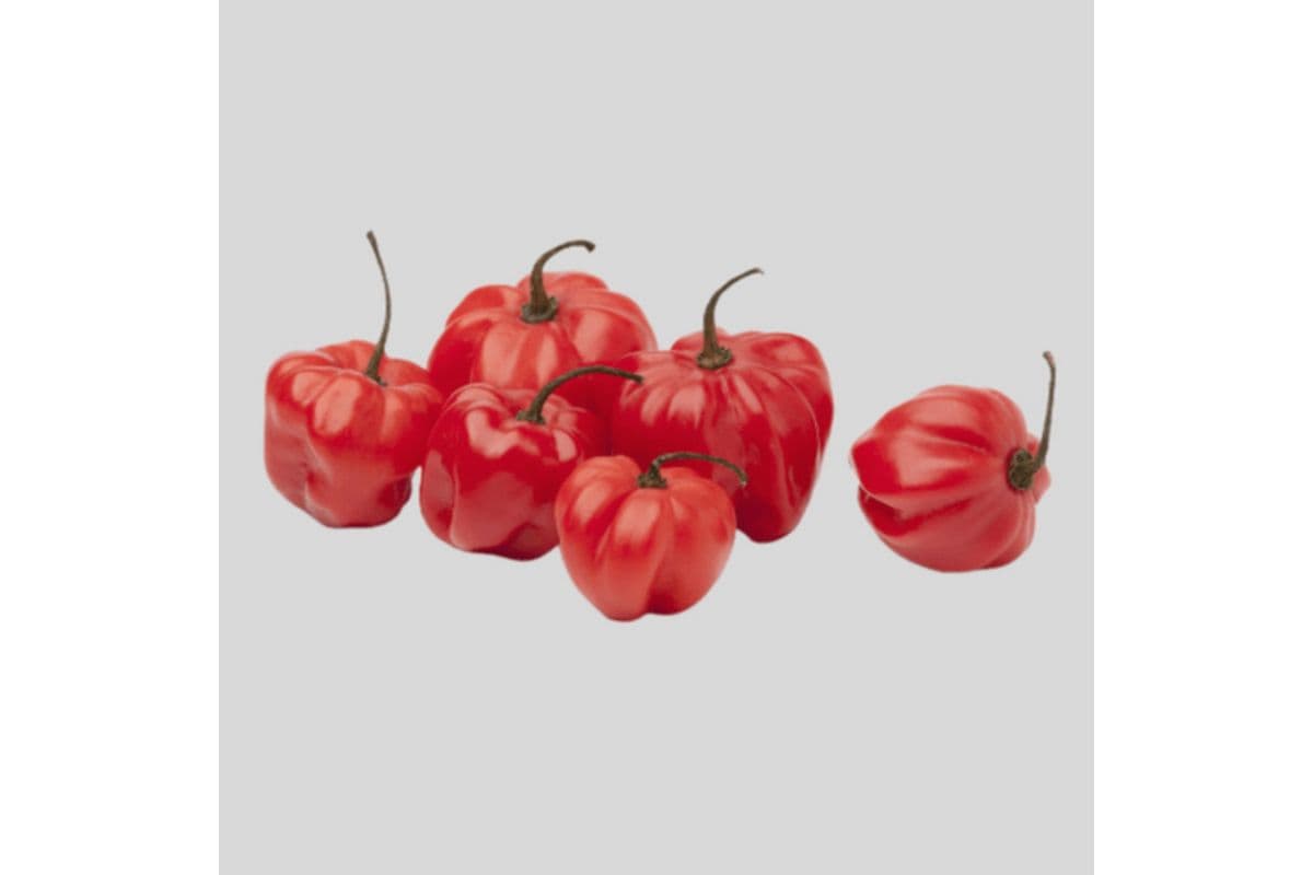 Scotch Bonnet Peppers - Per Lb