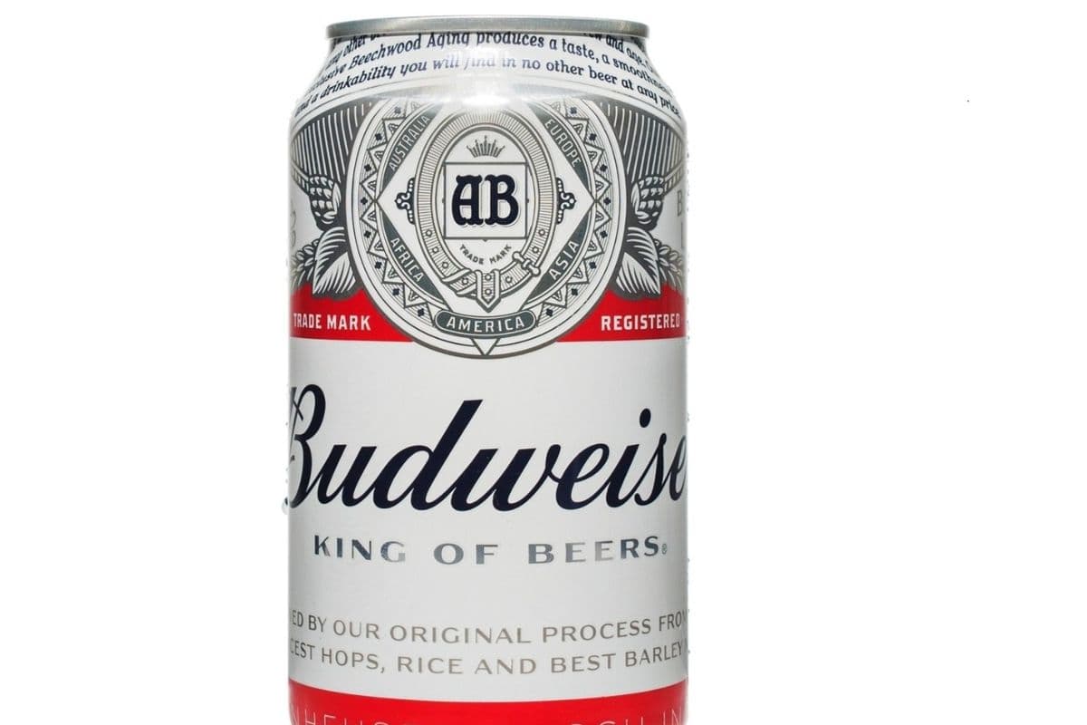 6 cans Budweiser (6 x 355ml)