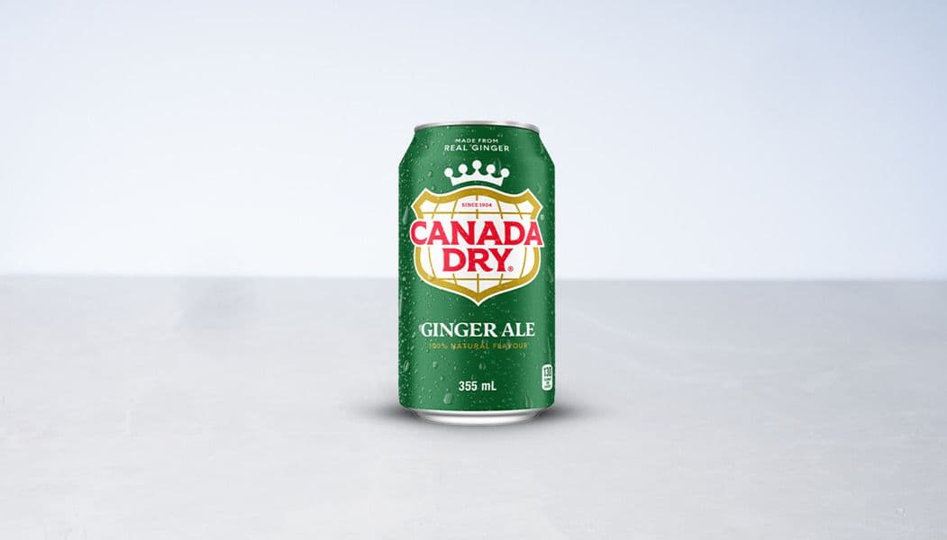 355ml Can Ginger Ale